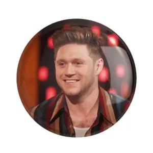 مگنت نایل هوران گروه موسیقی وان دایرکشن One Direction