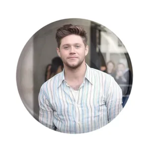 مگنت نایل هوران گروه موسیقی وان دایرکشن One Direction