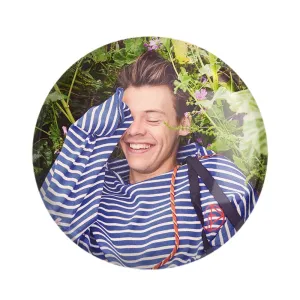 مگنت هری استایلز گروه موسیقی وان دایرکشن One Direction