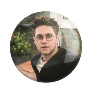 مگنت نایل هوران گروه موسیقی وان دایرکشن One Direction