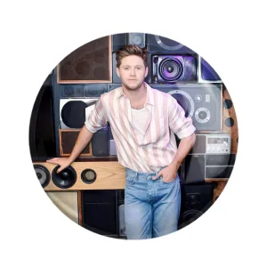 مگنت نایل هوران گروه موسیقی وان دایرکشن One Direction