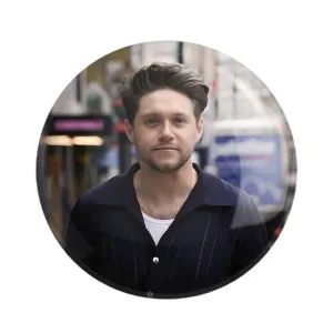مگنت نایل هوران گروه موسیقی وان دایرکشن One Direction