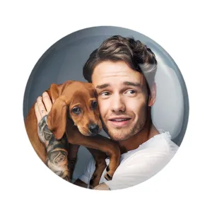 مگنت لیام پین گروه موسیقی وان دایرکشن One Direction