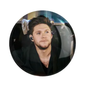 مگنت نایل هوران گروه موسیقی وان دایرکشن One Direction