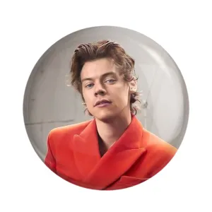 مگنت هری استایلز گروه موسیقی وان دایرکشن One Direction