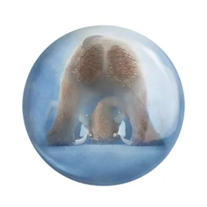 مگنت انیمیشن عصر یخبندان Ice Age