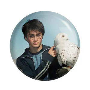 مگنت هری پاتر Harry Potter