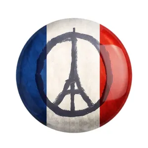 مگنت باشگاه پاری سن ژرمن Paris Saint-Germain