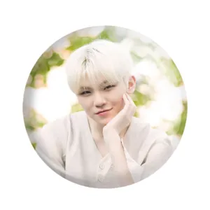 مگنت ووزی گروه سونتین Seventeen