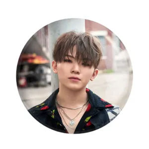 مگنت ووزی گروه سونتین Seventeen