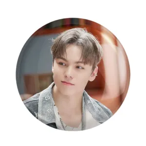 مگنت ورنون گروه سونتین Seventeen