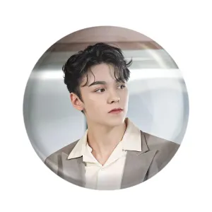 مگنت ورنون گروه سونتین Seventeen