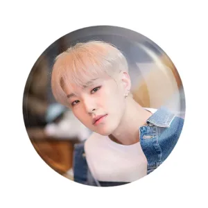 مگنت هوشی گروه سونتین Seventeen