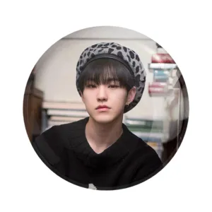 مگنت هوشی گروه سونتین Seventeen