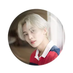 مگنت جونگهان گروه سونتین Seventeen