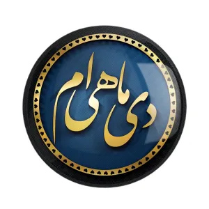 مگنت ماه تولد دی