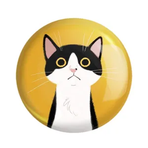 مگنت گربه Cat
