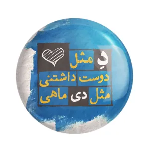 مگنت ماه تولد دی