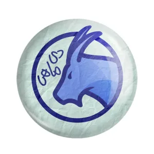 مگنت ماه تولد دی
