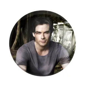 مگنت دیمون سالواتوره خاطرات یک خون آشام  The Vampire Diaries
