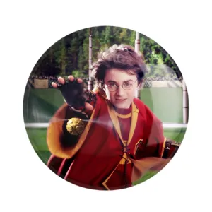 مگنت هری پاتر Harry Potter