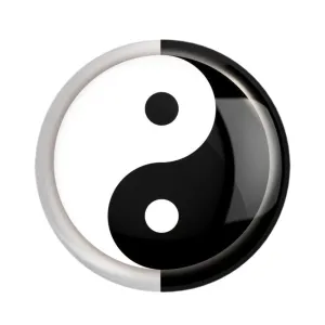 مگنت یین و یانگ