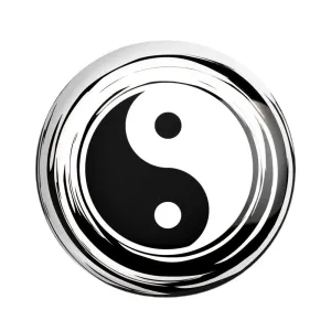 مگنت یین و یانگ