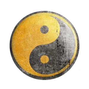 مگنت یین و یانگ