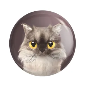 مگنت گربه