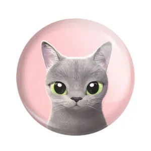 مگنت گربه