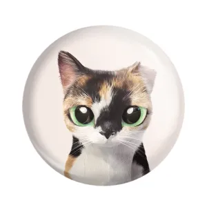 مگنت گربه