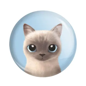 مگنت گربه