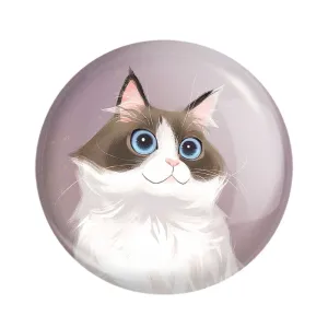 مگنت گربه