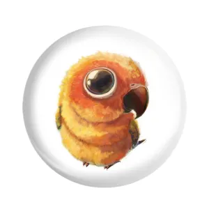 مگنت پرنده