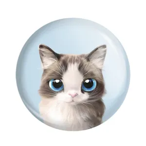مگنت گربه