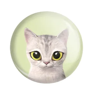 مگنت گربه