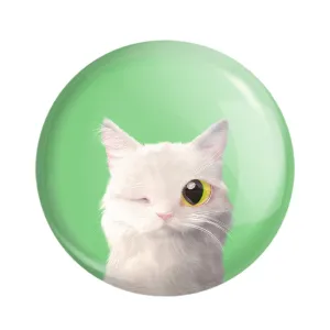 مگنت گربه