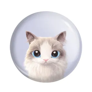 مگنت گربه
