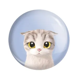 مگنت گربه