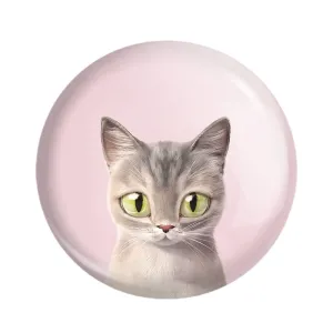 مگنت گربه