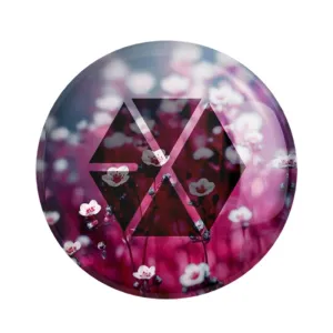 مگنت گروه موسیقی اکسو EXO