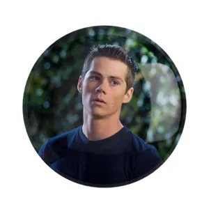 مگنت استایلز استلینسکی سریال تین ولف Teen Wolf