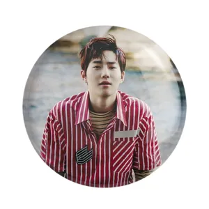 مگنت سوهو گروه موسیقی اکسو EXO