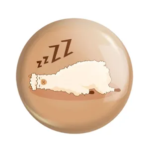 مگنت لاما