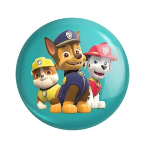 مگنت سگ های نگهبان Paw Patrol