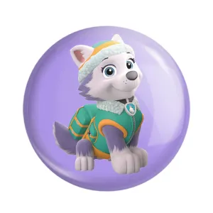 مگنت سگ های نگهبان Paw Patrol
