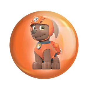 مگنت سگ های نگهبان Paw Patrol