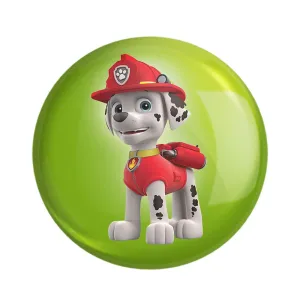 مگنت سگ های نگهبان Paw Patrol
