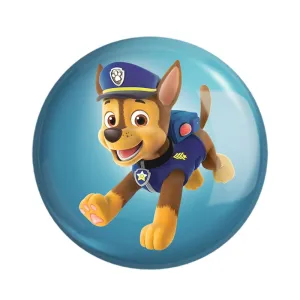 مگنت سگ های نگهبان Paw Patrol