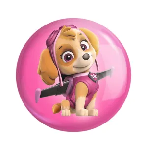 مگنت سگ های نگهبان Paw Patrol